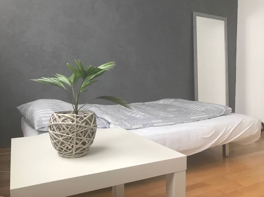 Additional room with sofa bed