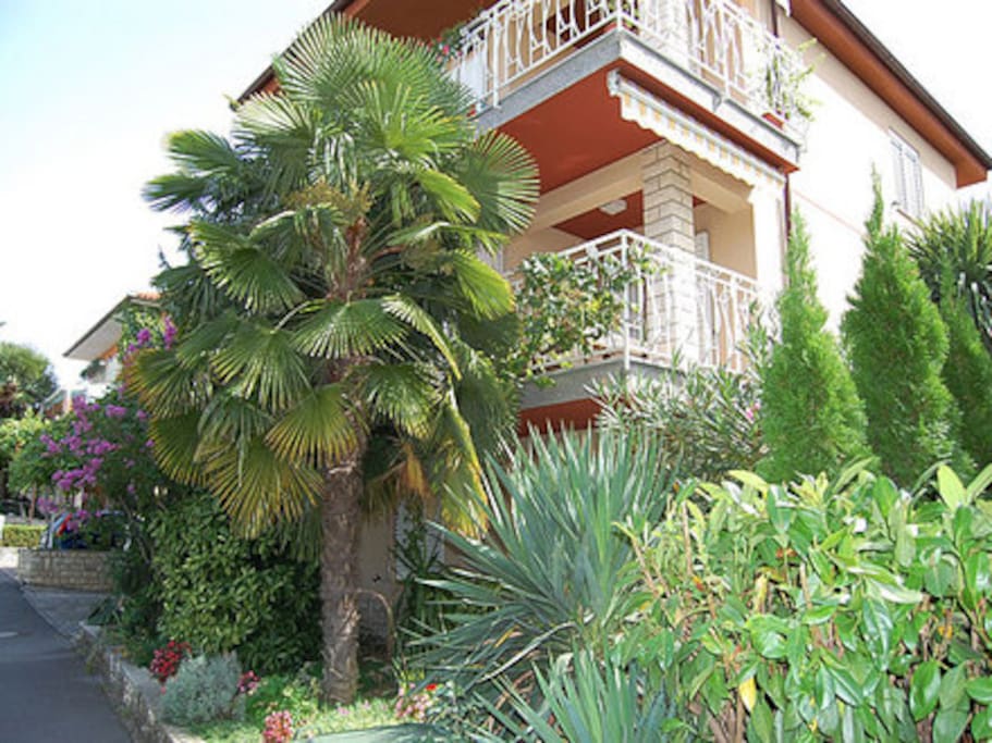 Family house