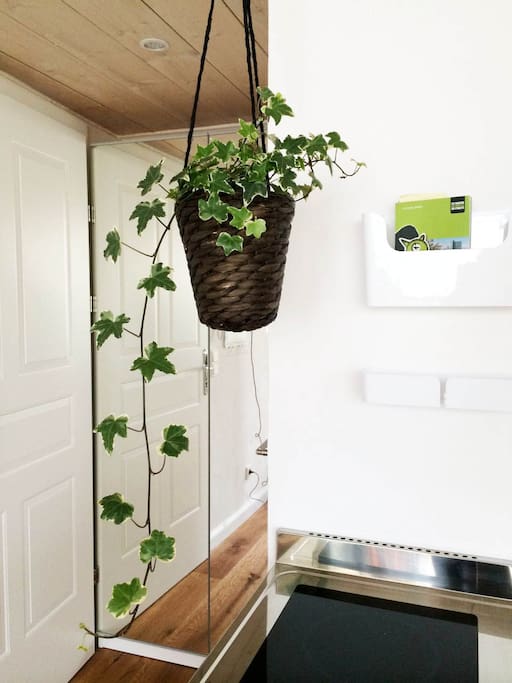 You enter the loft and will be welcomed by plants that let you feel at home and relax.