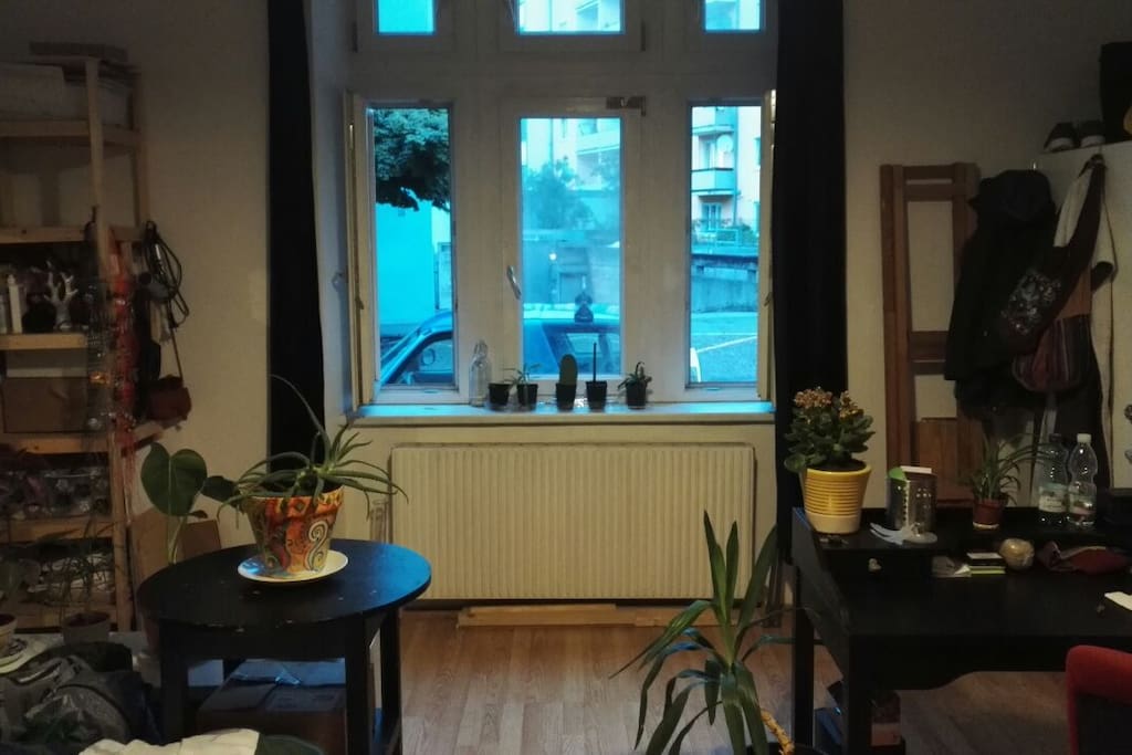 Zimmer, Fenster