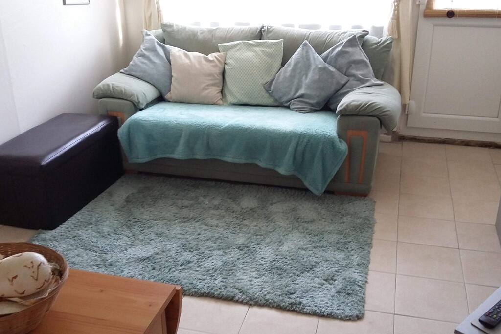 Living room with bed settee