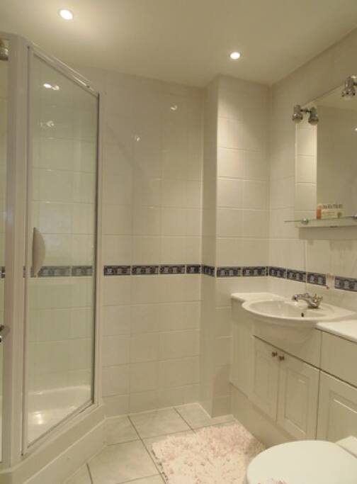 Ensuite to main Bedroom