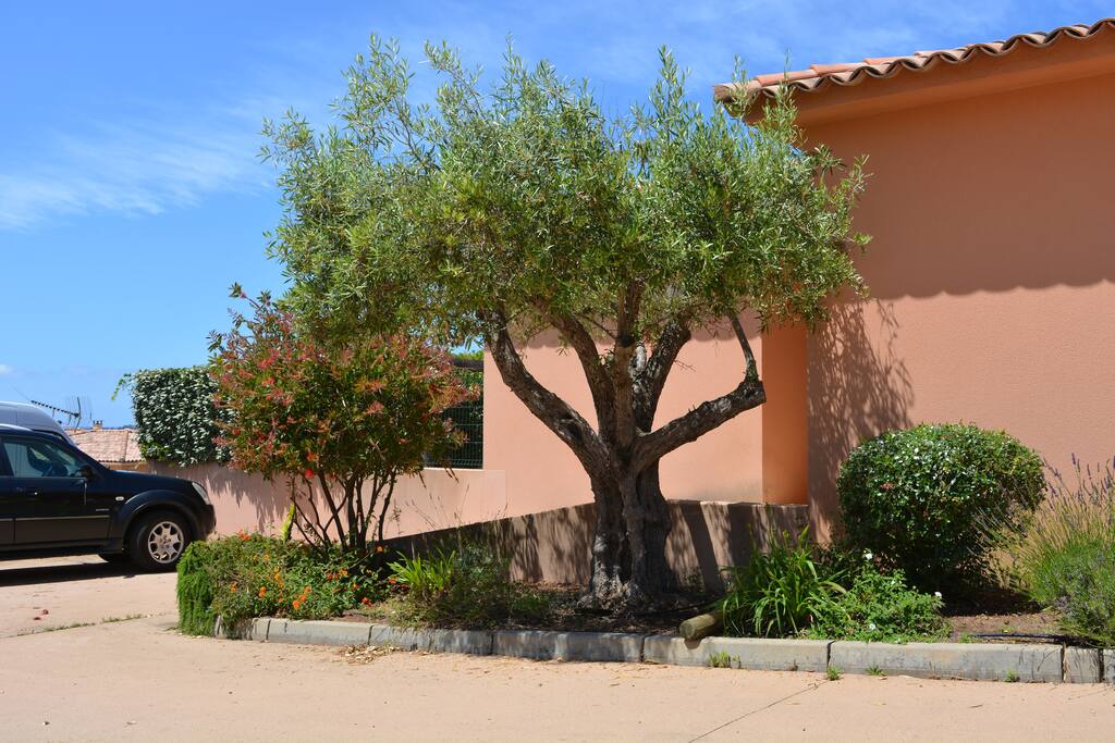 L'entrée de la maison avec le parking devant