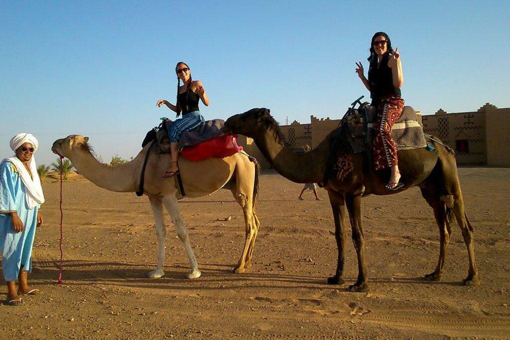 Camel Treck