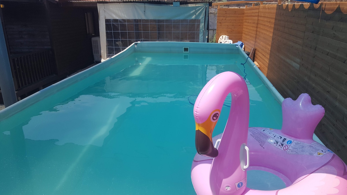 A spacious private pool is featured, with clear turquoise water reflecting the sunlight. A pink inflatable flamingo rests on the surface, adding a playful element. The surrounding area includes wooden walls and lounge chairs, creating a relaxing outdoor environment.