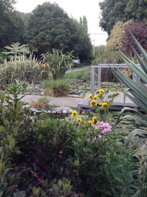 Garden view from the room