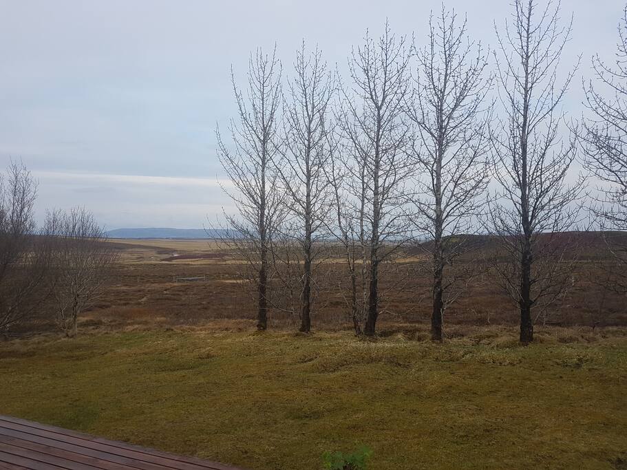 A view from the patio.