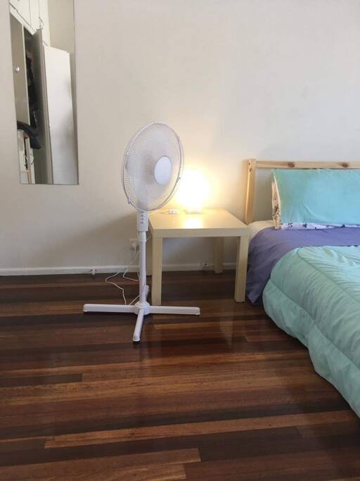 Fan