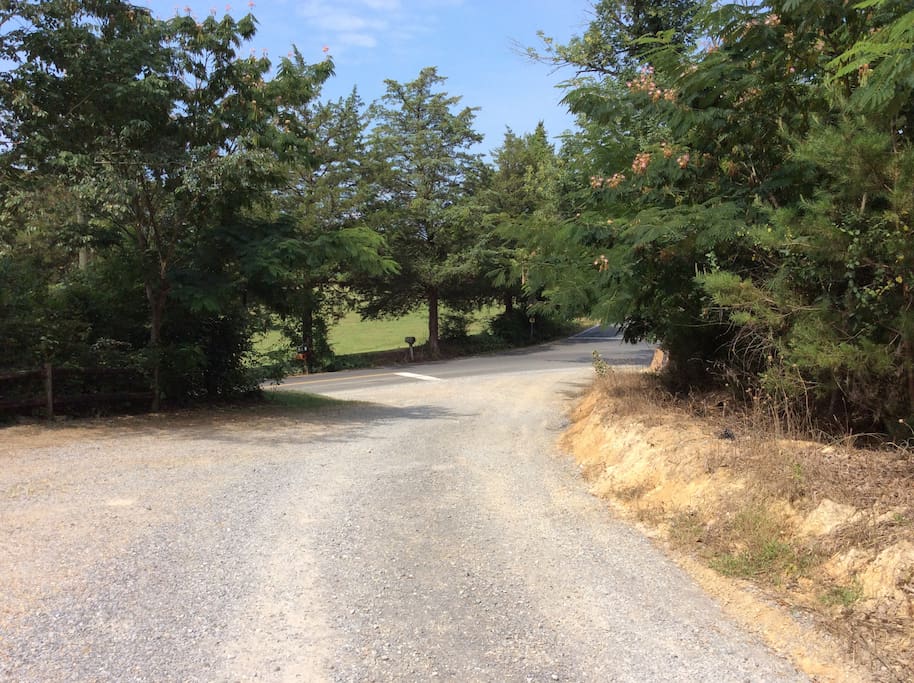 Driveway up to David's Place