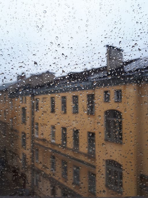 window's view