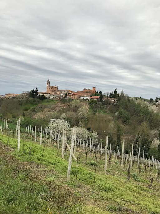 Landsbyen Castelnuovo Calcea ligger i gangavstand fra gården