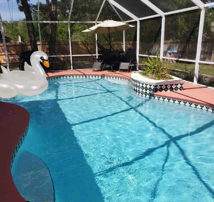 A clear swimming pool is enclosed within a screened area. A white inflatable swan floats on the water, while a shaded seating area is visible nearby. Lush greenery can be seen in the background, contributing to a serene outdoor setting.