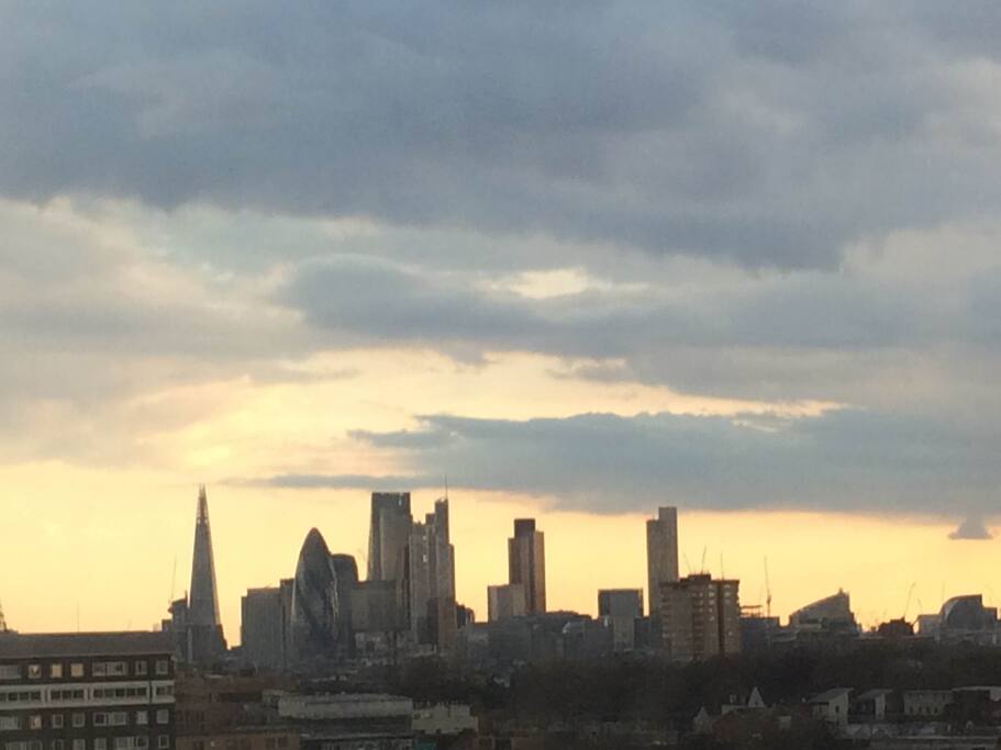 view