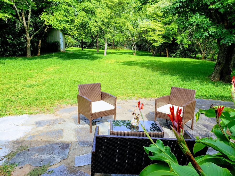 Tranquil backyard to lounge in. Best enjoyed with good company and a cold beverage!