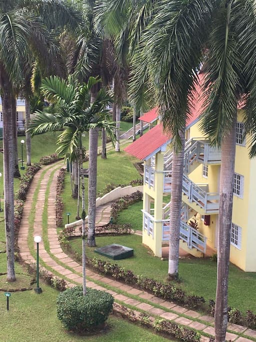 View from Balcony