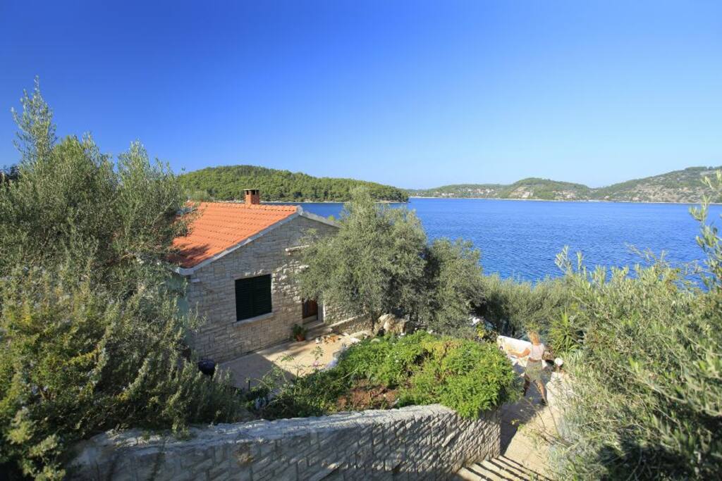 house PARADISE