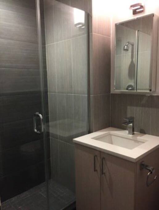 Clean, modern bathroom with an amazing rain shower