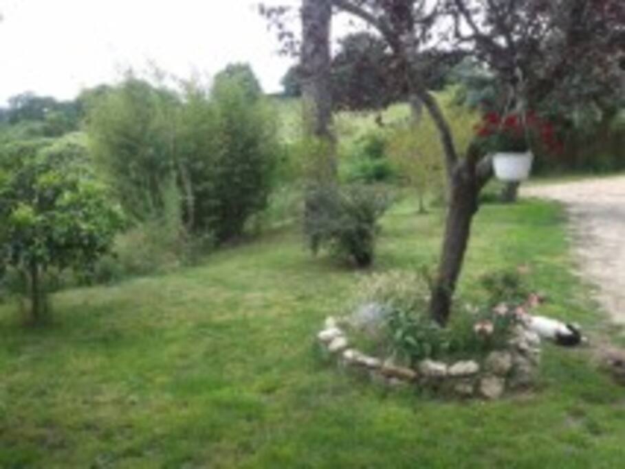 Garden, view from the front of the house