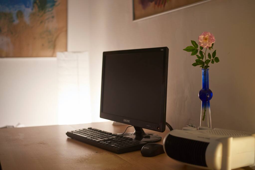 Working Desk + PC+LAN + Internet