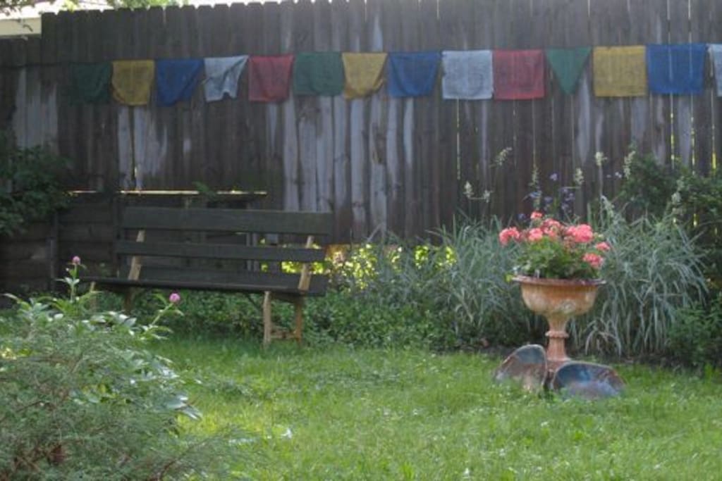 Back garden