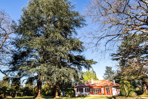 Villa Baratzean with pool