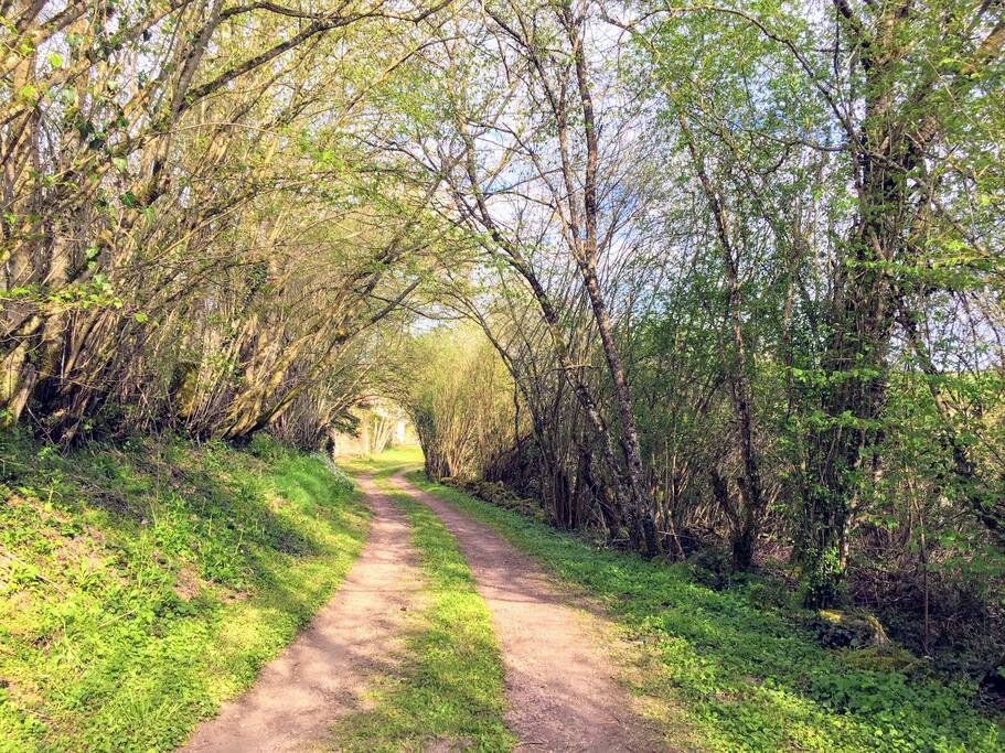 Chemin d'acces