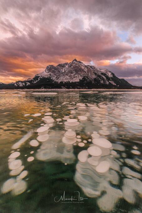 Beautiful Canada Rockies in Alberta, by Photographer Masaki Ito, a AirBnB guest