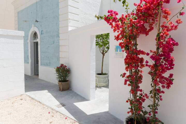 Lamia Speziale gallery image 2