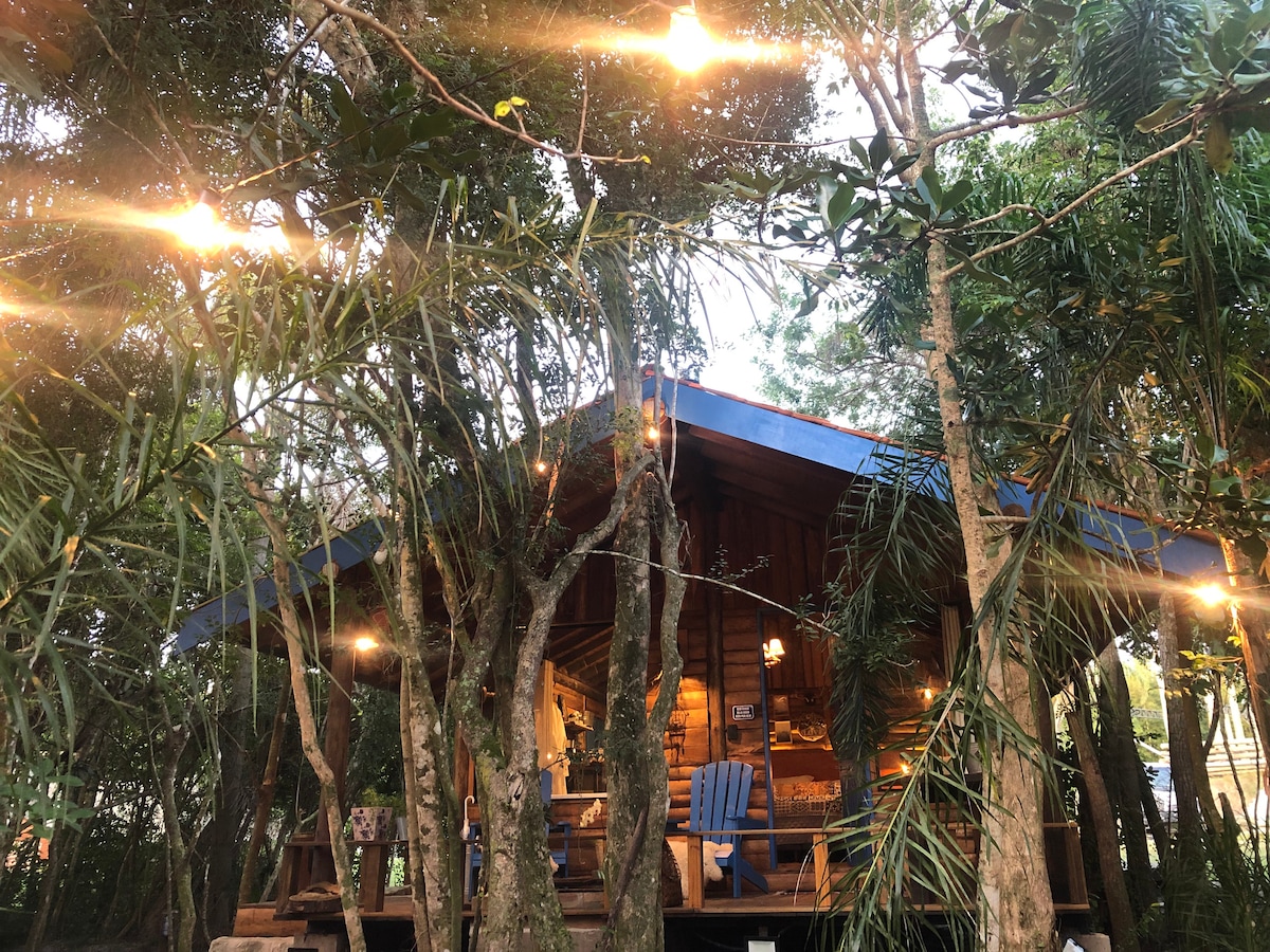A wooden cabin is nestled among native trees, illuminated by string lights. The cabin features a blue roof and a spacious deck area, furnished with outdoor seating, providing a cozy setting for relaxation in a natural environment.