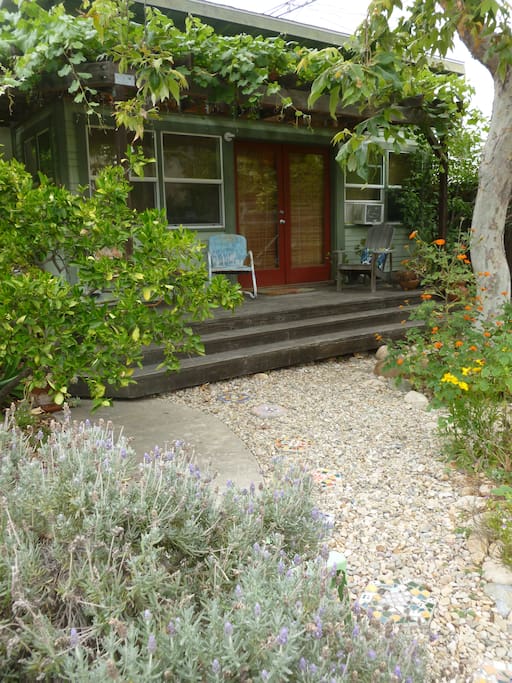 Nestled into the backyard, the Shackteau is surrounded by lavender, citrus, flowers, and grape vines on the trellis. An urban oasis!