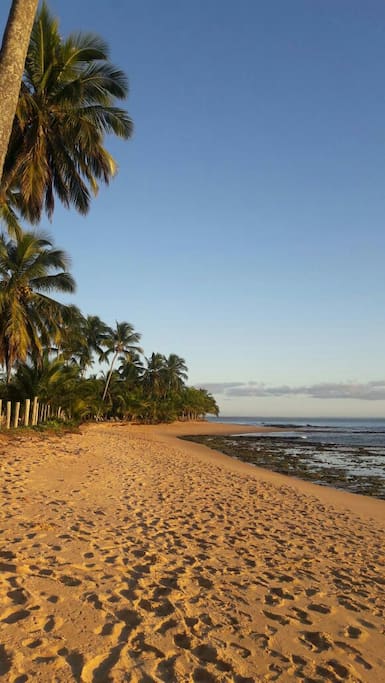 Ponta do Mutá (atrás da casa)