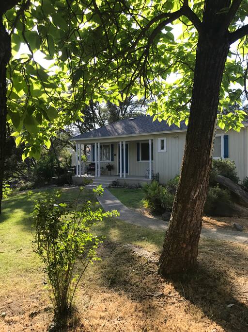 lovely front yard