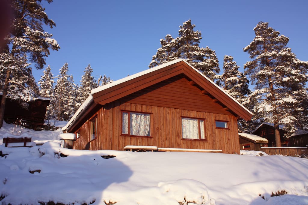 Her i fjellbygda Heidal 750 moh øverst i Gudbrandsdalen, kan du få det beste av naturopplevelser. Vi kan nevne: Rafting i Sjoa, juv - vandring, Ypperlig Utgangspunkt for fjellturer i Heidal, Jotunheimen, Rondane og Dovrefjell (Snøhetta). oppkjørte skiløyper i fleng, 12 min. til Lemonsjø Alpinsenter ved porten av Jotunheimen, seterbesøk, gardsbesøk, og mye mer!