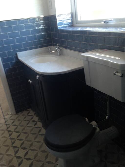 Toilet and vanity (ensuite)