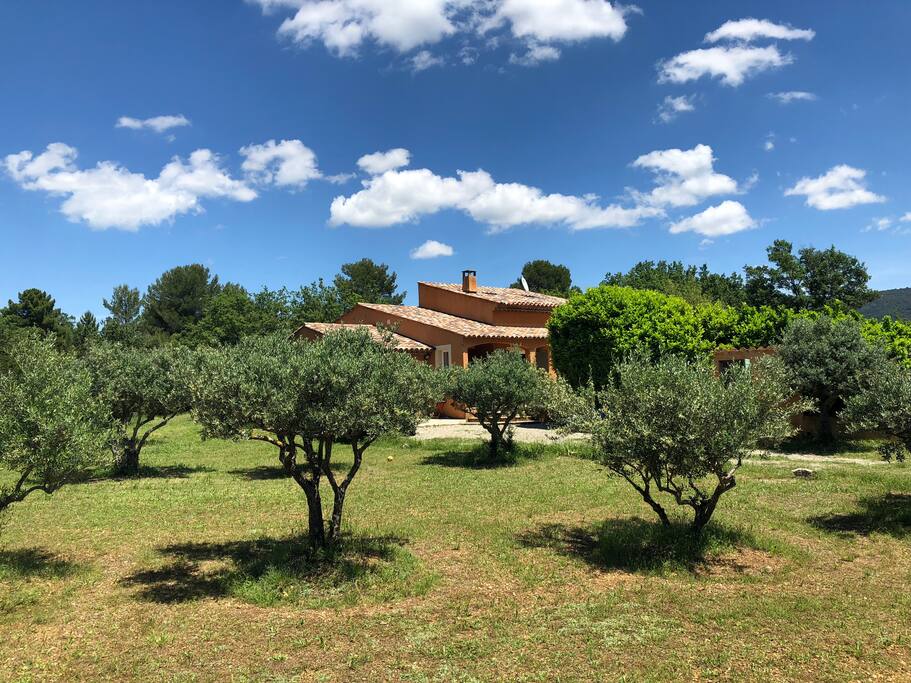 Jardin