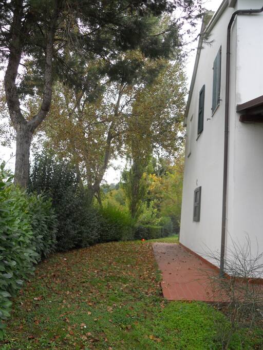 Parte laterale