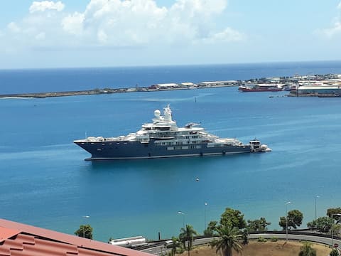 Beautiful sea view on the arrival of liners,