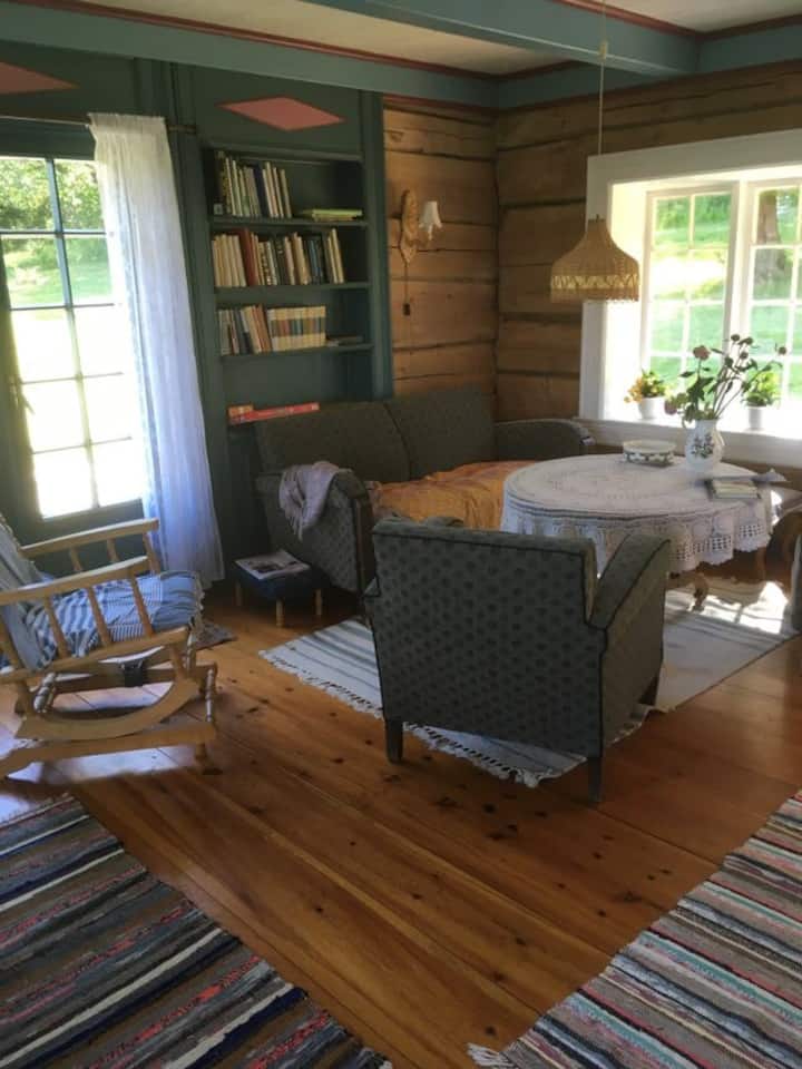 غرفة المعيشة