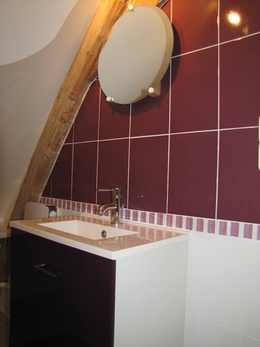 la salle de bains comprenant une douche et des toilettes