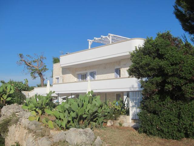 Amazing Beach Villa Directly on the Adriatic Sea gallery image 2