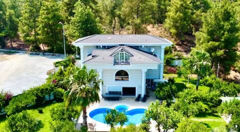 ARK Mansion Erler (Licensed Property)