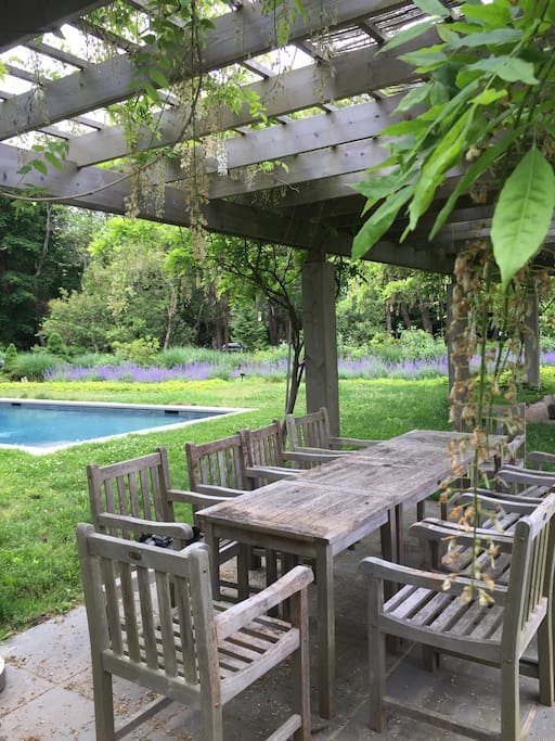 Outdoor dining and lounging by the heated pool - shared