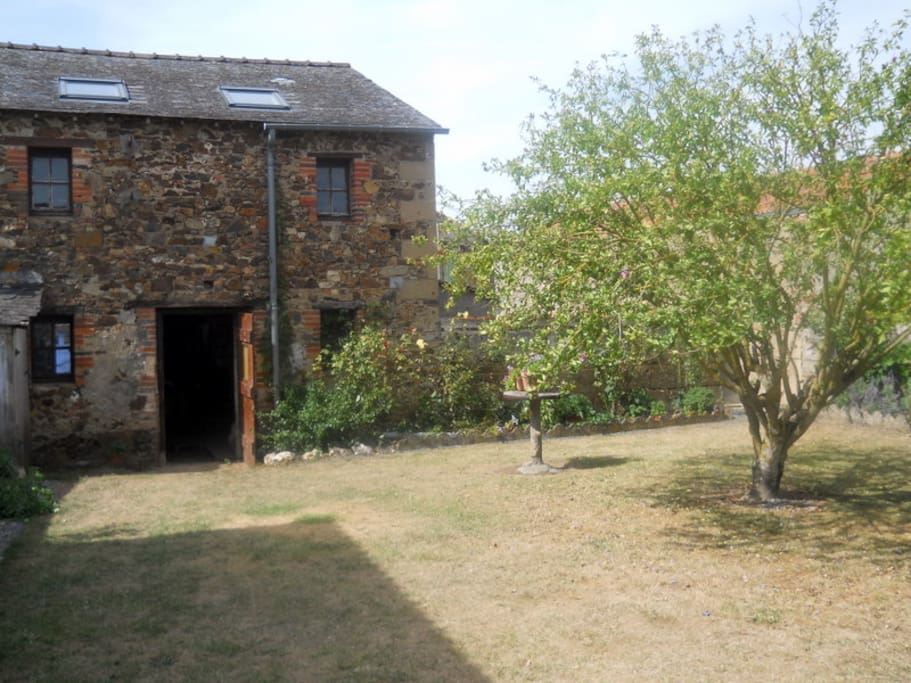 The back garden with view of the rear of garage