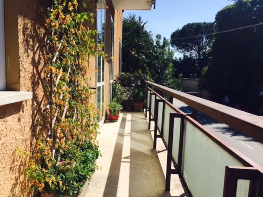 Balconcino