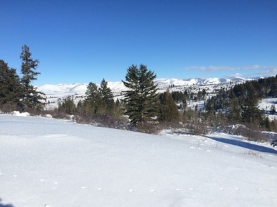 View from front porch of Jubilation Springs Cabin