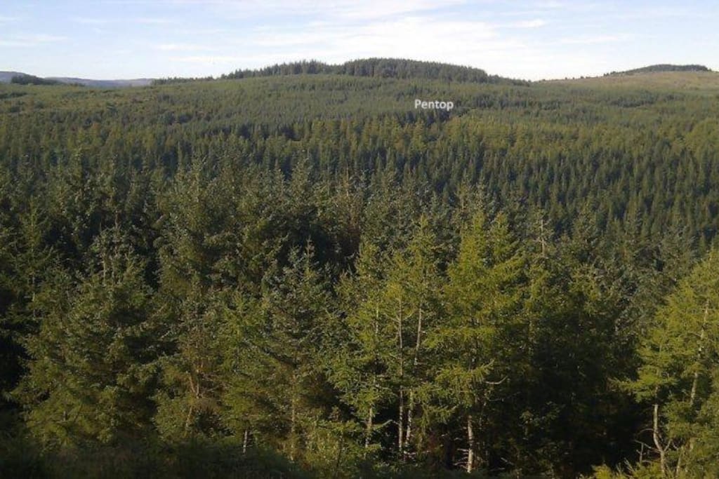 Spot the cottage!
