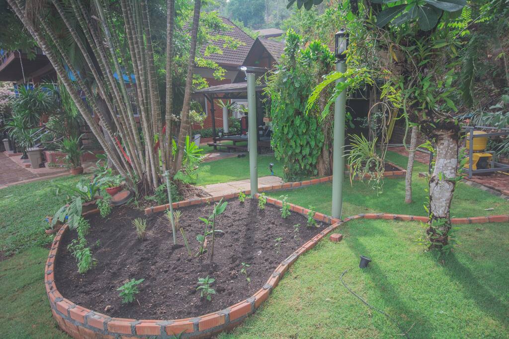 The front garden