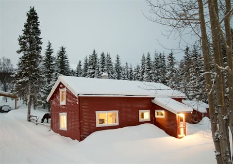 Popular Airbnb listing: Høier Gård - sheep farm in Balsfjord