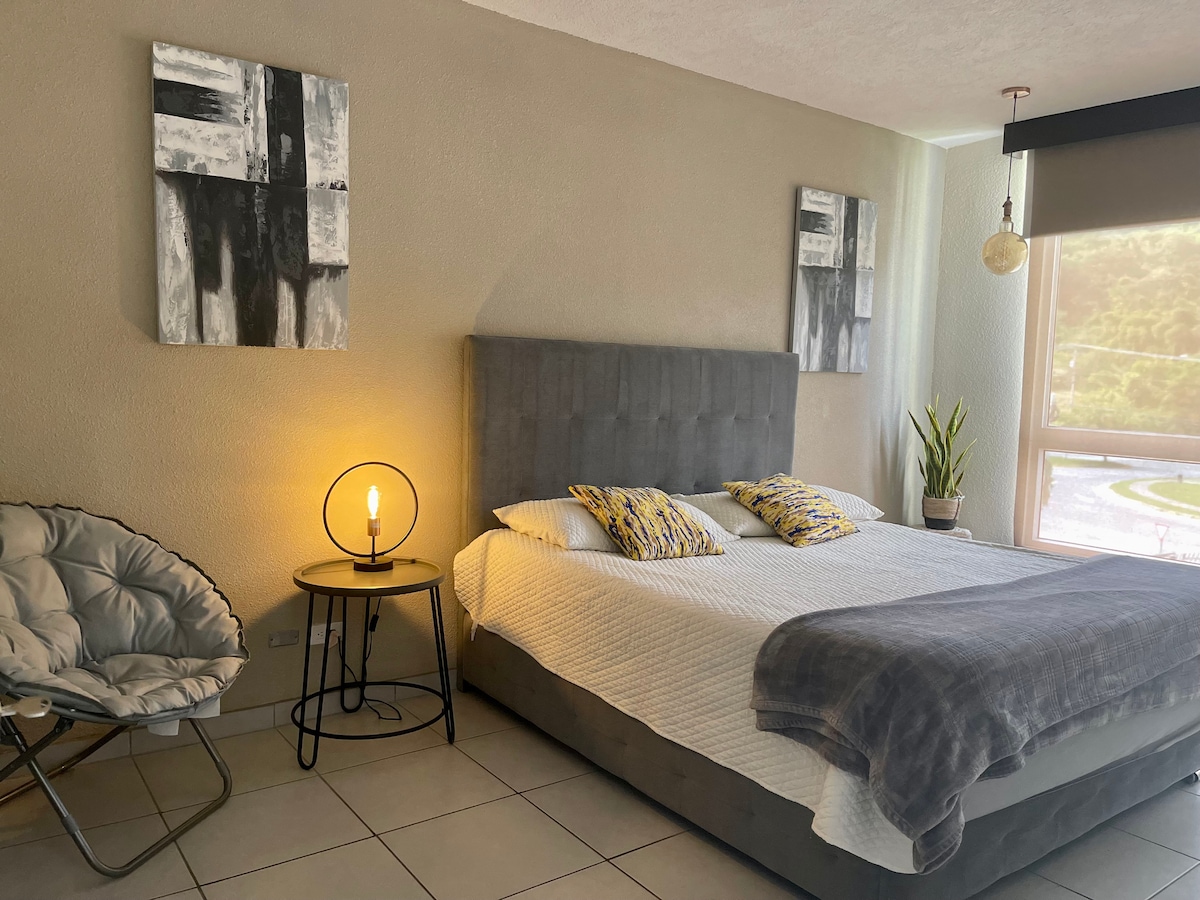 Голяма главна стая с детайли, проектирани за комфорт, без да се пренебрегва всеки естетичен детайл 