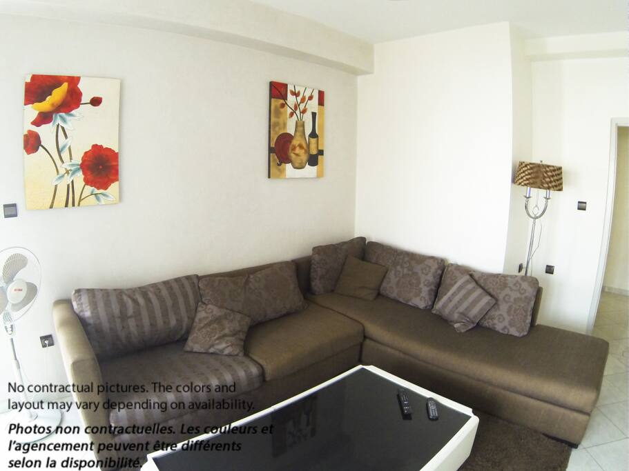 Lounge with flat screen TV and satellite channels / Salon avec TV à écran plat et chaines satellites
